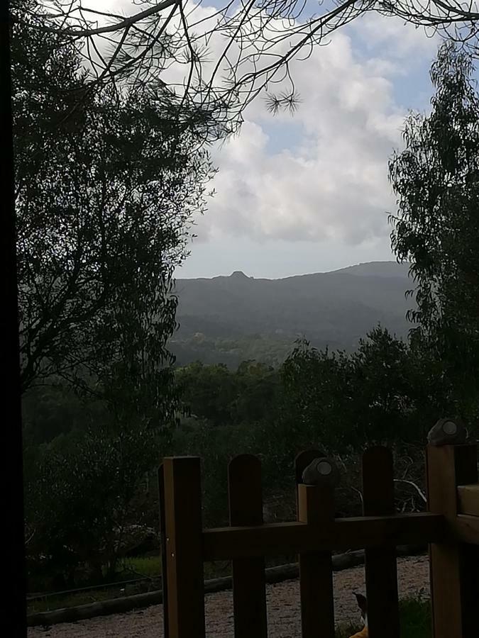 Hotel Glamping Sintra Esterno foto